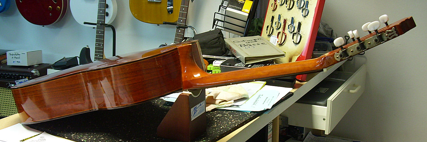 12 Gitarre ganz