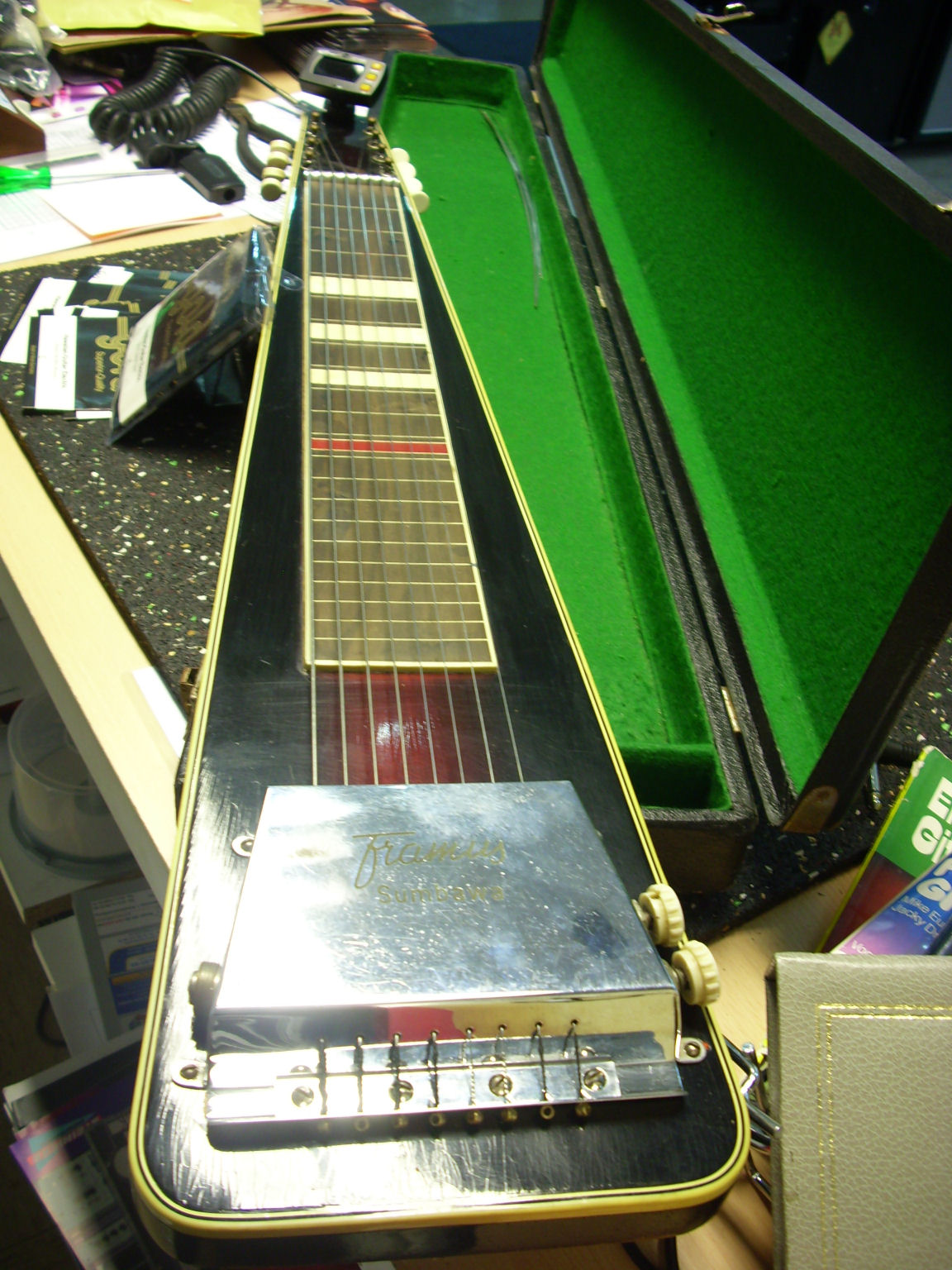 DSCI0310