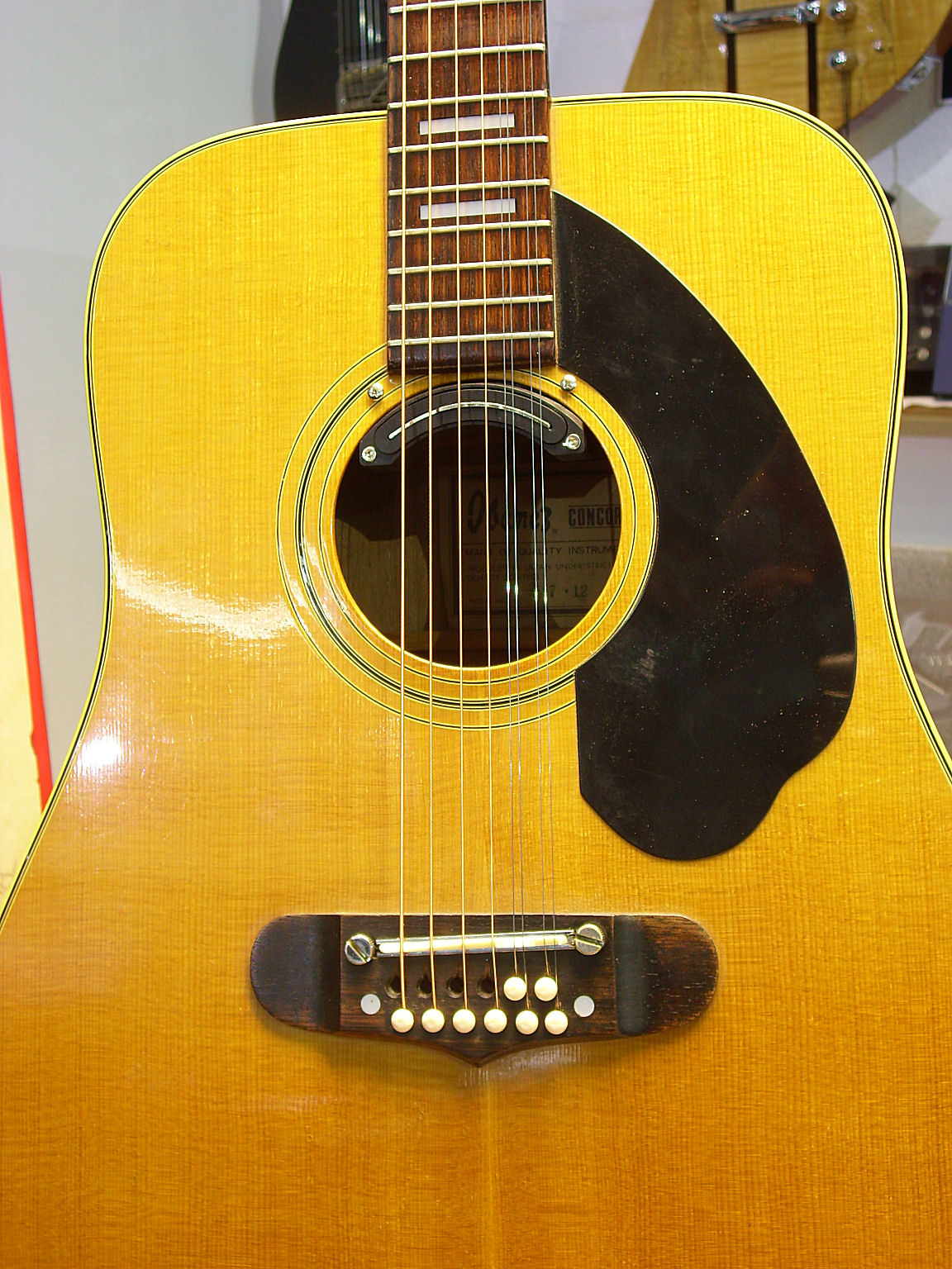 Ibanez Concord mit Umbau Belcat Prener PC (3)