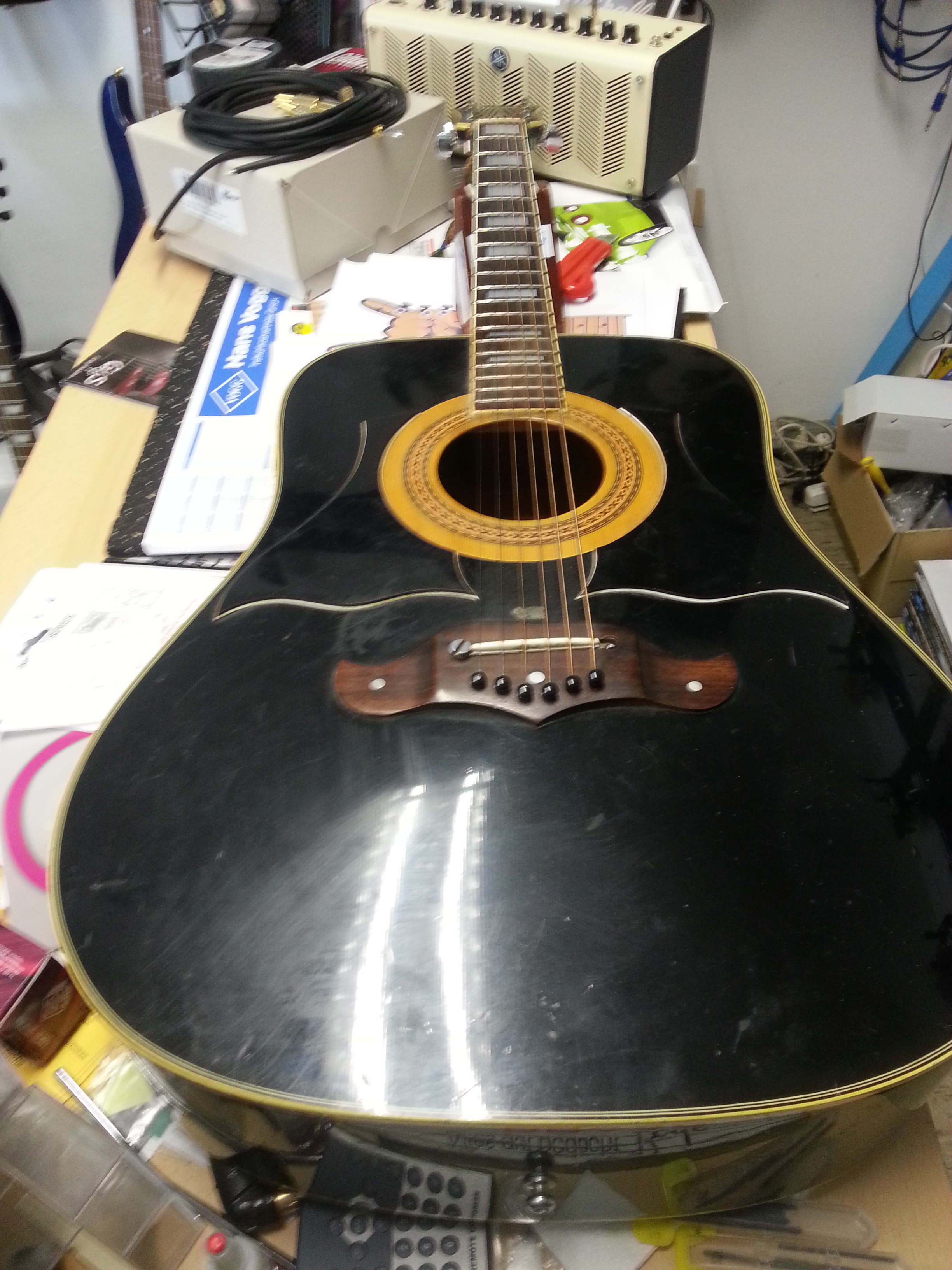 Umbau Ibanez Concord Six linx (6)